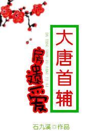 大唐首辅房遗爱