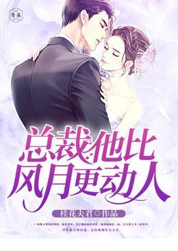 总裁,他比风月更动人