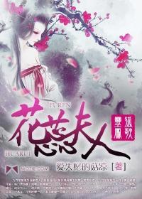 灵狐凤歌之花蕊夫人前传