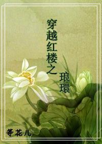 穿越红楼之琅环