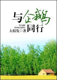 与企鹅同行