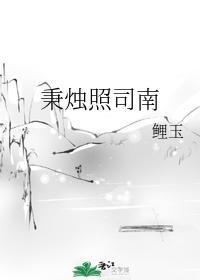 秉烛照司南