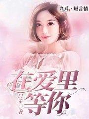 在爱里等你白晓顾北