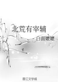 北荒有宰辅
