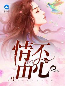 情不由心蓝小柒赫连曜