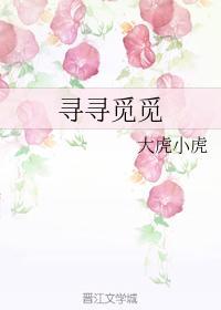 寻寻觅觅
