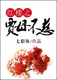 红楼之贾母不慈
