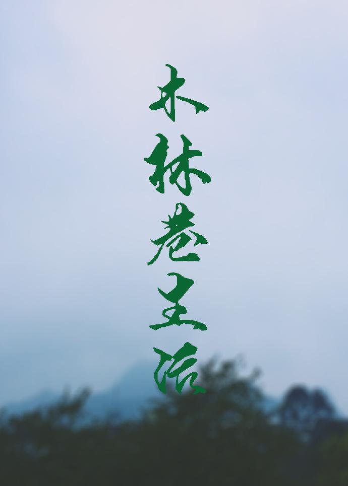 木林巷生活