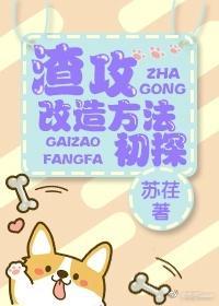 渣攻改造方法初探