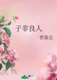 子非良人
