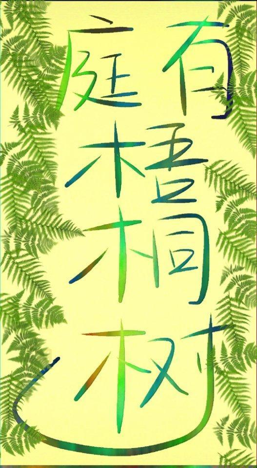庭有梧桐树