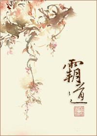 霸道车型和价格2025款图片