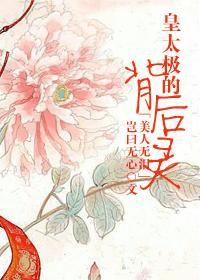 [美人无泪]皇太极的背后灵