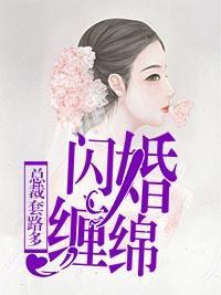 闪婚缠绵:总裁套路多
