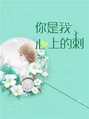 爱有天意许晴祁邵川