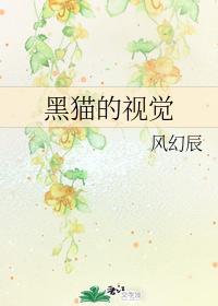 黑猫的视觉