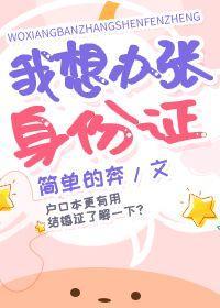 我想办张身份证