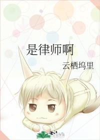 是律师啊