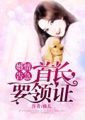 婚情告急:首长,要领证