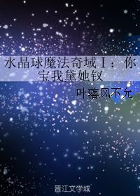 水晶球魔法奇域Ⅰ:你宝我黛她钗