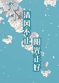 清风不止 阳光正好