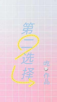 第二选择