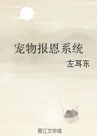 宠物报恩系统