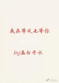我在等风也等你