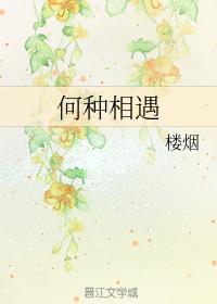 何种相遇