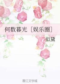 何数暮光［娱乐圈］