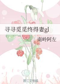寻寻觅觅终得妻gl