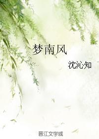 梦南风