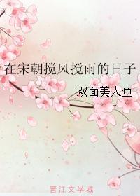 在宋朝搅风搅雨的日子