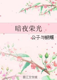 暗夜荣光