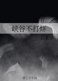 峡谷不打烊