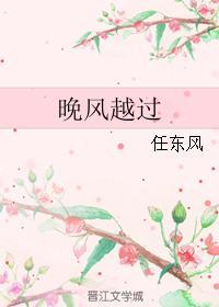 晚风越过