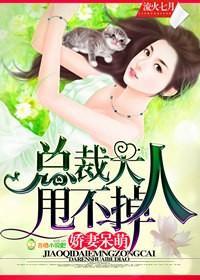 娇妻呆萌,总裁大人甩不掉