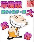 单机版大武