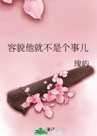 容貌他就不是个事