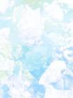 宗门弟子偏爱穿书女,我转修无情道后飞升成神了