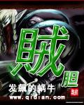 贼胆的拼音