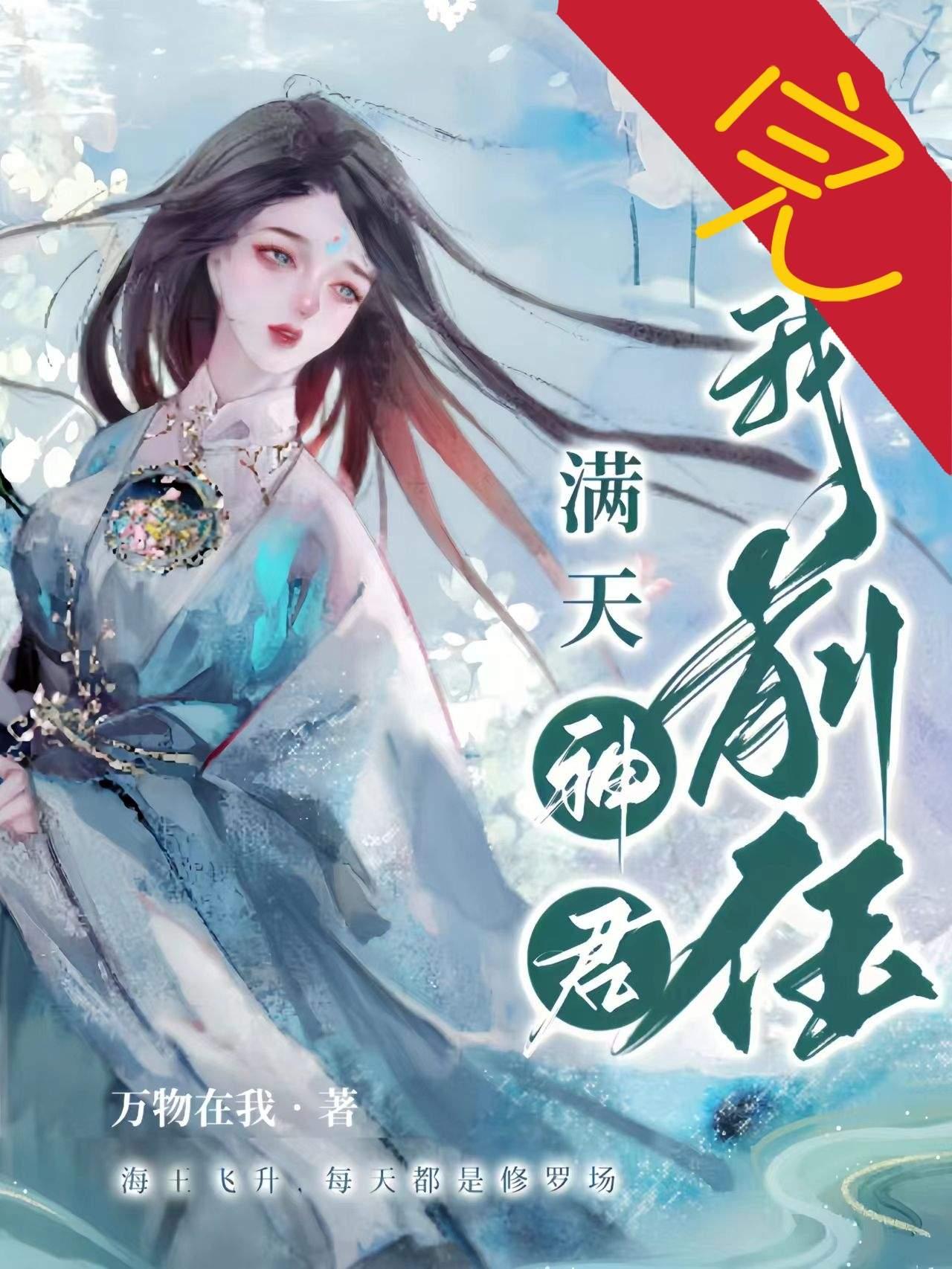 满天神君，皆我前任